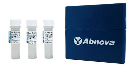 艾美捷小鼠抗狗IgE二抗说明书 艾美捷小鼠抗狗IgE二抗说明书