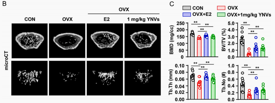 植物来源外泌体研究近期进展