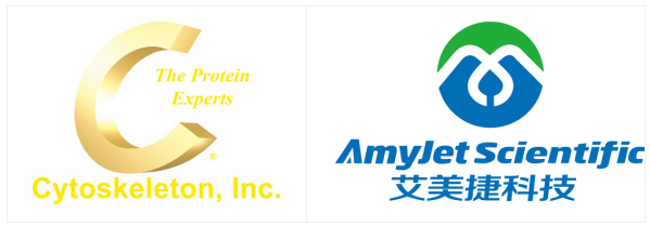 Cytoskeleton/艾美捷 细胞骨架的功能研——专业高效