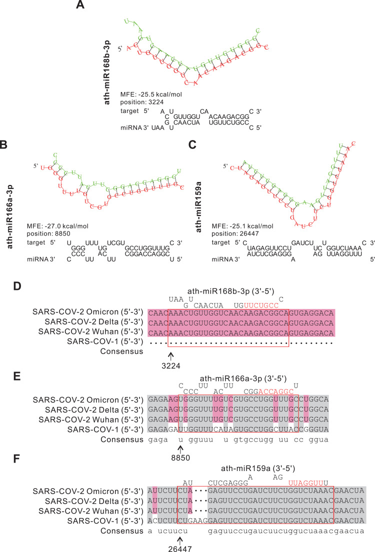 客户文献解读 | 中医为什么能治流感?是玄学还是运气?INT J NANOMED揭示鱼腥草抗病毒机制及范围!