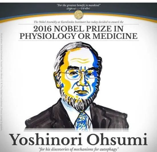 LC3：隐秘的自噬标记物！