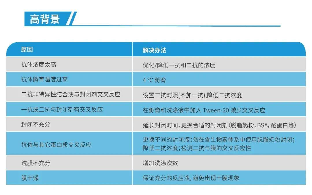你们要的免疫印迹（WB）教程来了！我不信看完这个你还学不会