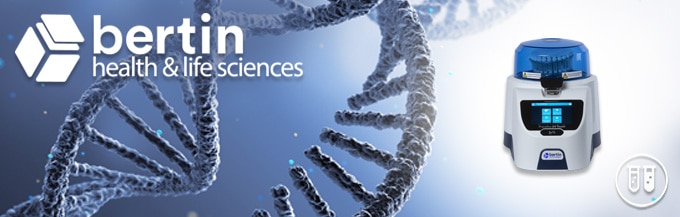 使用Precellys 24 TOUCH研磨器从肝组织中提取纯化微量RNA和总RNA