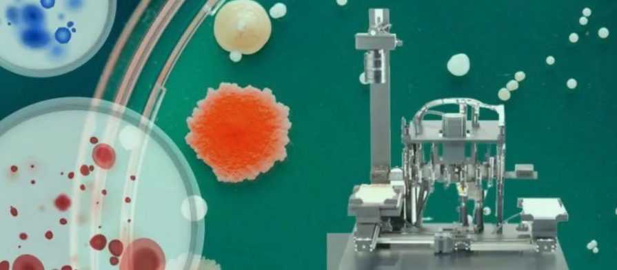 您的菌落挑选工具指南