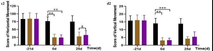  大鼠在神经领域的应用