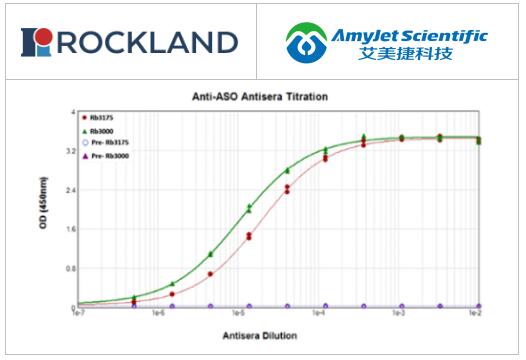 Rockland丨Rockland抗寡核苷酸抗体开发流程