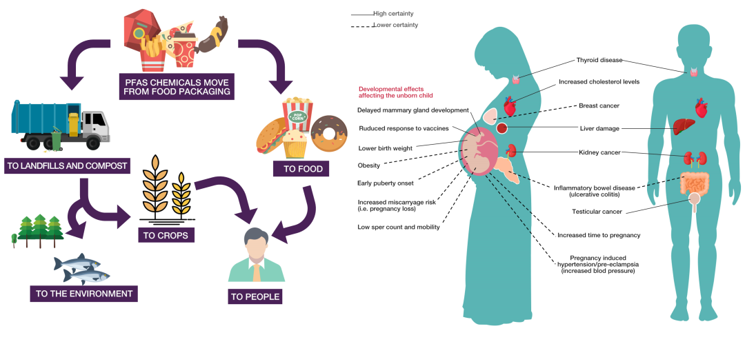 警惕“氟”污染-赛默飞CIC燃烧离子色谱助力PFAS分析