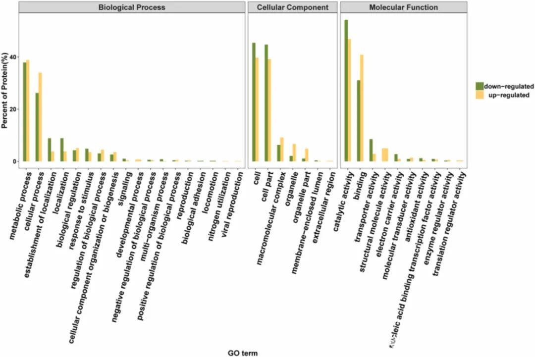 基因水平的验证