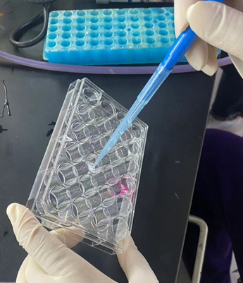 1708652060781593.png 3.png