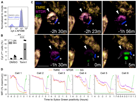 1700100482992315.png 企业微信截图_17000308296211.png