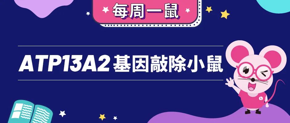 揭开早发型帕金森病的神秘面纱——ATP13A2基因敲除小鼠