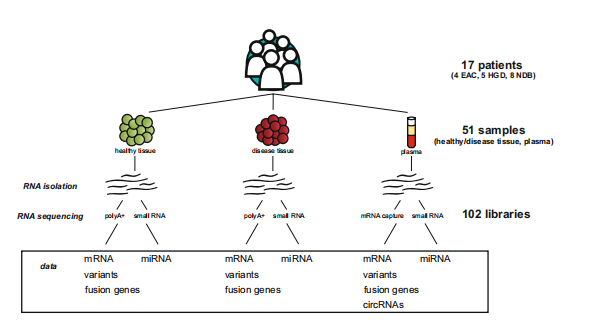 安捷伦的小秘密 PART3 片段化分析仪助力食道癌的综合性RNA数据集分析