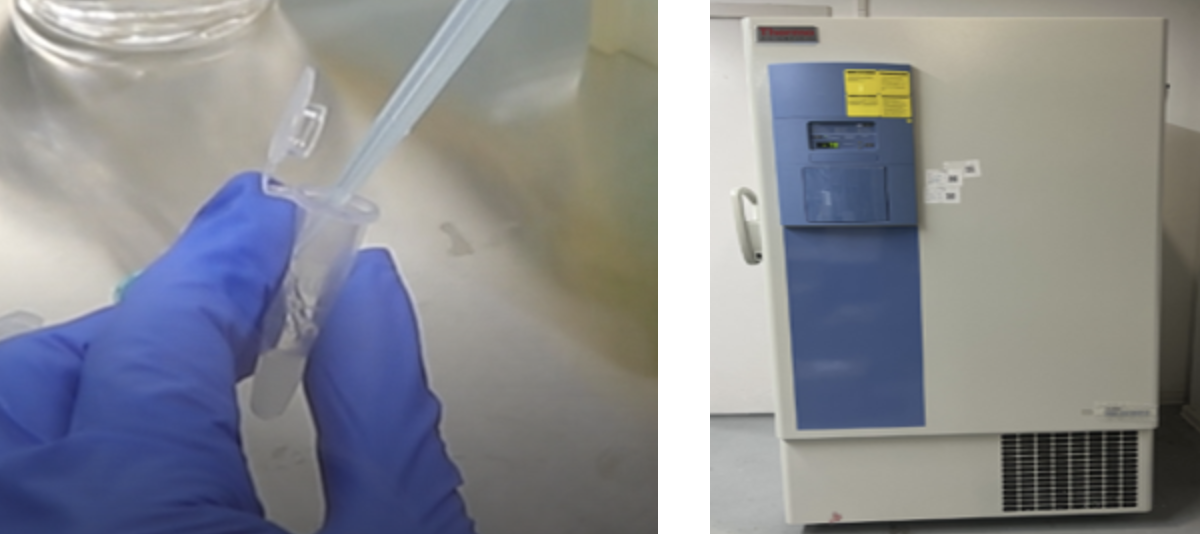 新闻图片14