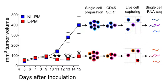 【“小海胆”文献解读】Nature Communications|cAMP抑制剂治疗黑素瘤机制，BD Rhapsody又来了！
