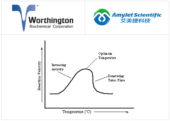 worthington酶丨worthington温度对酶活性的影响