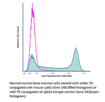 InVivoMAb抗鼠Ly6G，抢购热潮，时不我待！