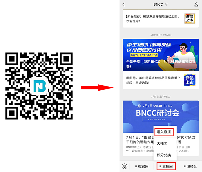 8月12日，BNCC线上研讨会准时开启！千万别错过！