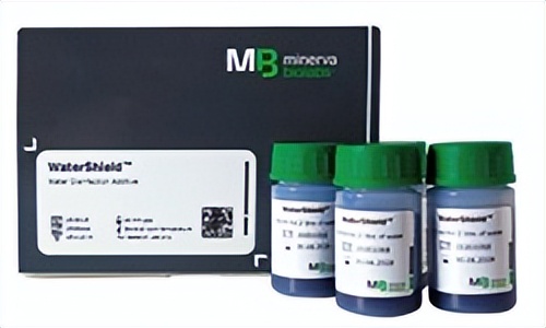 细胞培养之水槽支原体 预防试剂