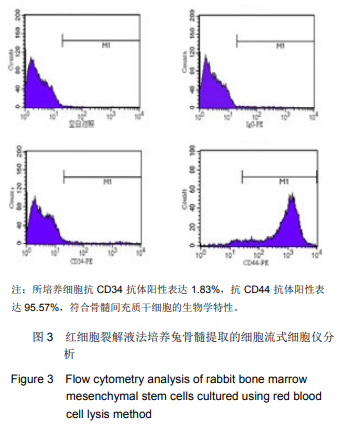 文献分享：红细胞裂解液法体外分离培养兔骨髓间充质干细胞
