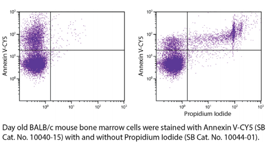 SouthernBiotech Annexin V染色方案