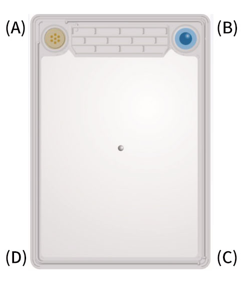 美国 celartia公司生产的革命性细胞培养耗材 Cell Culture DEVICE