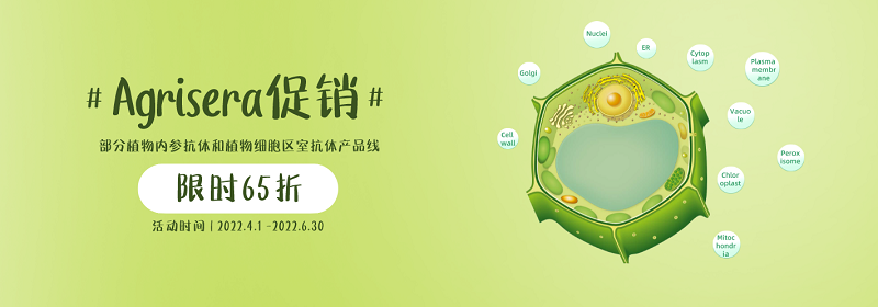 Agrisera促销：部分植物内参抗体和植物细胞区室抗体产品
