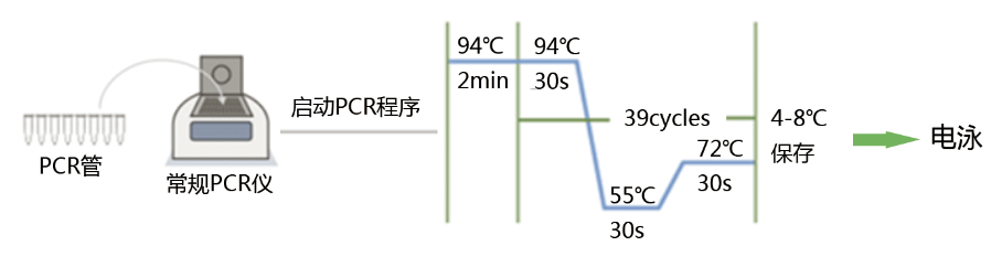 支原体qPCR检测试剂盒的特点及操作步骤