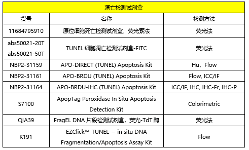 新闻图片10