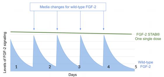 祝贺普瑞麦迪成为细胞因子一线品牌——法国Core Biogenesis中国区总代理