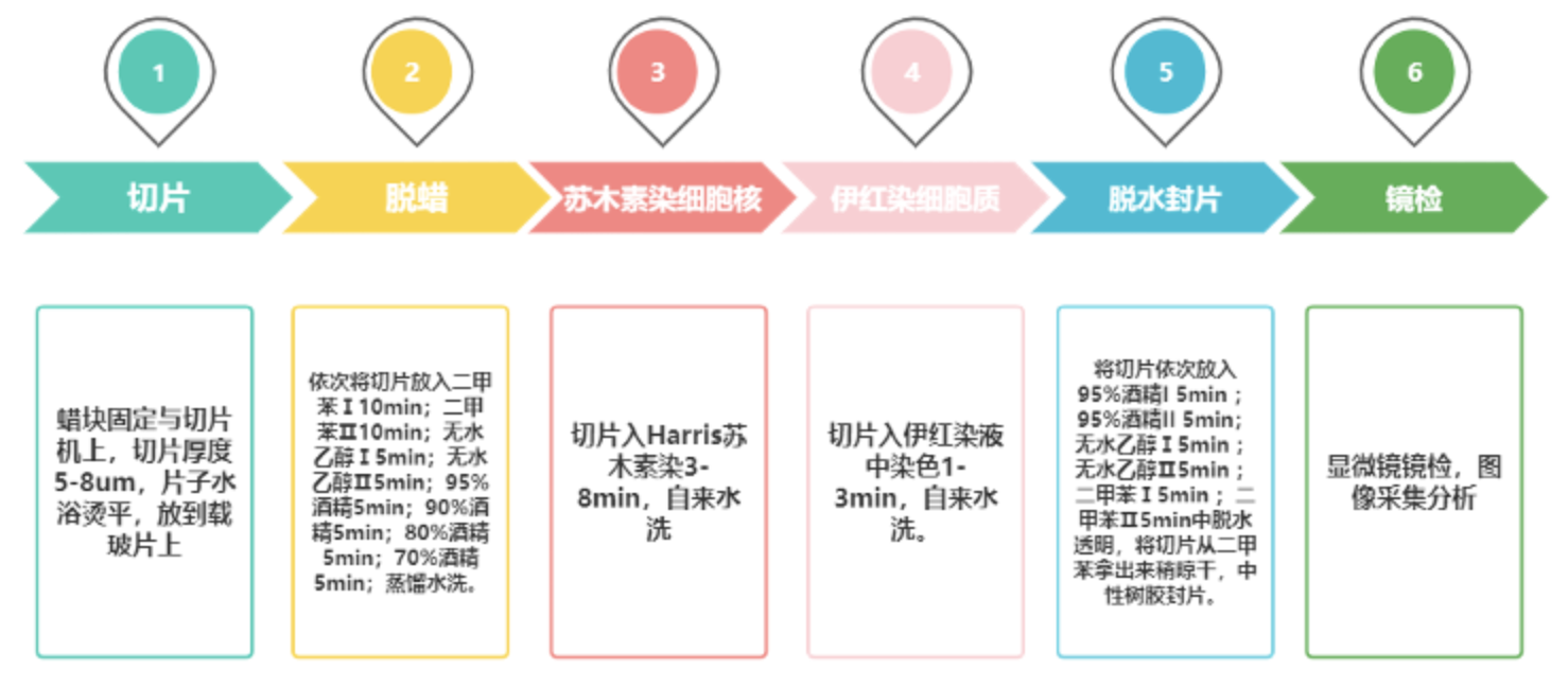 新闻图片23