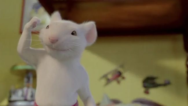 小鼠表型组数据库简介