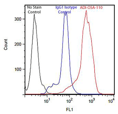 血红素加氧酶-1(HO-1) 单克隆抗体参数和文献研究 血红素加氧酶-1(HO-1) 单克隆抗体参数和文献研究