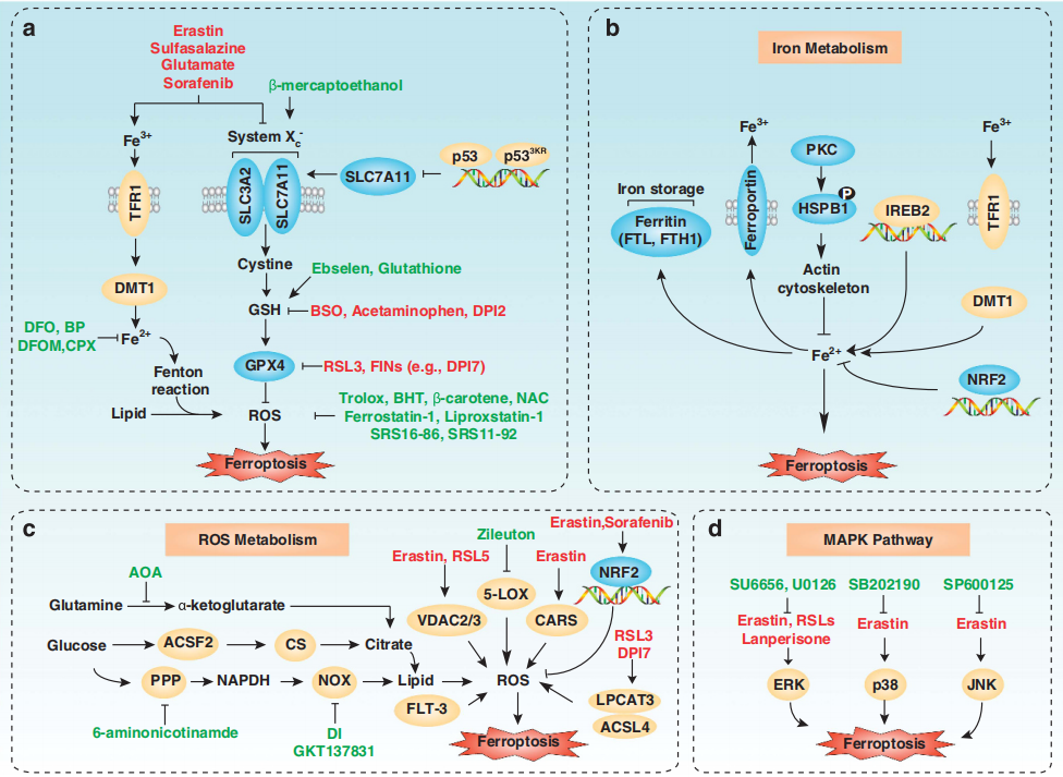 f0f79781d38c45acb8da8d33381f96a.png f0f79781d38c45acb8da8d33381f96a.png