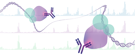 浅谈生信的分析过程！如何从原始数据到结果报告？