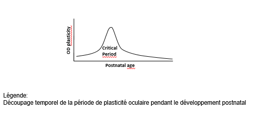 《Science》重塑成人大脑的可塑性