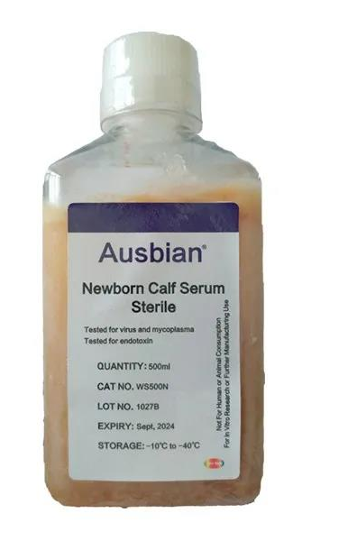 如何选择适合病毒疫苗生产的新生牛血清