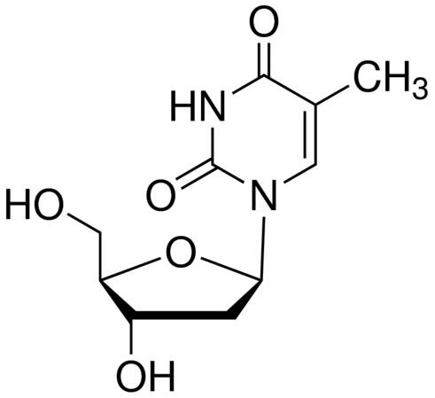 艾美捷 2'-脱氧胸苷（胸苷）功能和相关研究