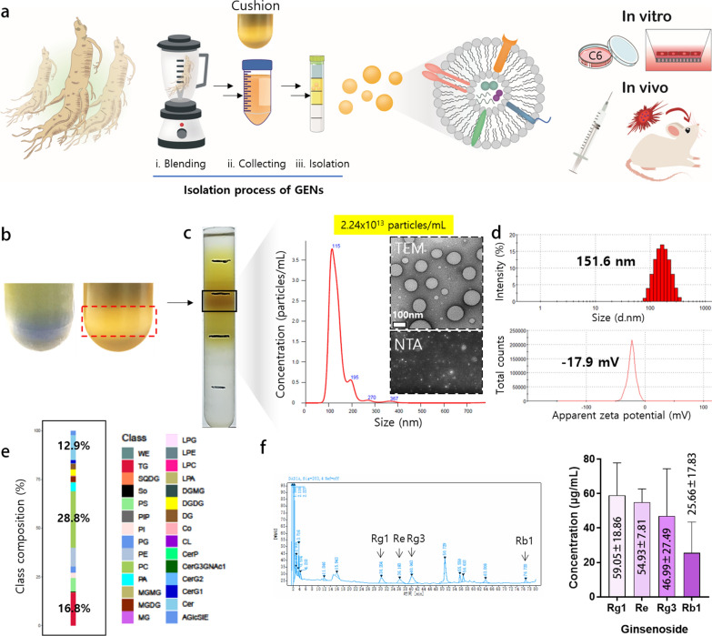 植物外泌体提取鉴定