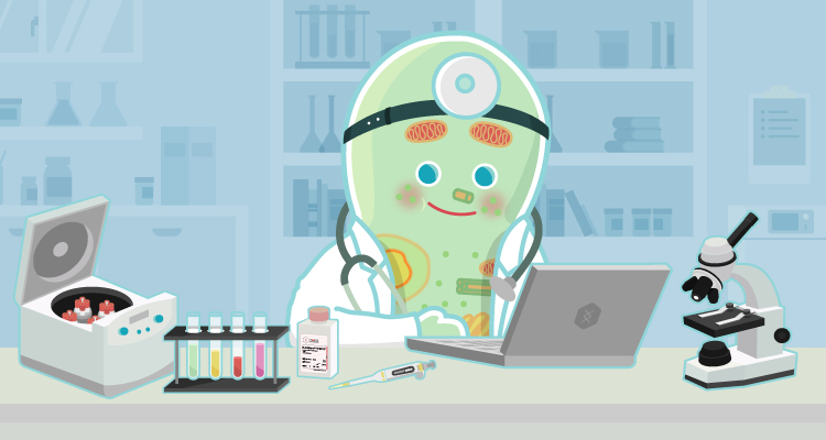 全能“女神”MSC培养流程大全