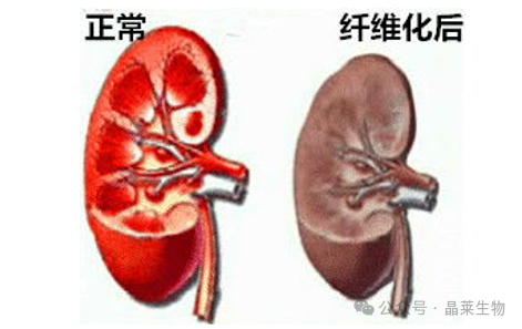 1709541746265072.png 新闻图片14