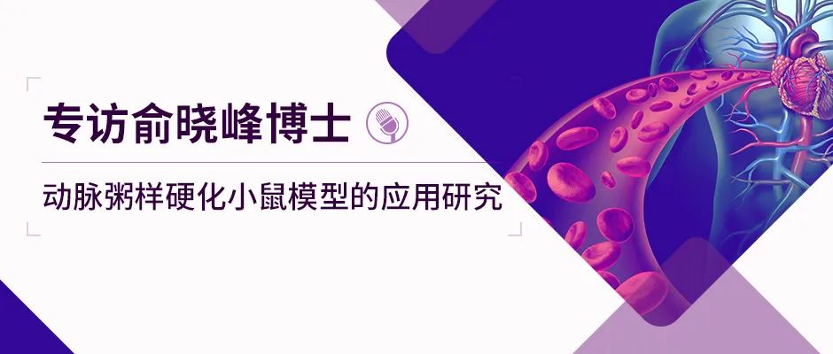赛业首席科学家俞晓峰博士：动脉粥样硬化小鼠模型多领域应用，加速心血管代谢相关疾病研究进展
