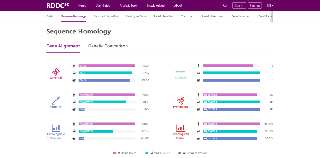 研究神经系统及肌肉再生的关键基因——Creb1基因编辑小鼠【每周一鼠】