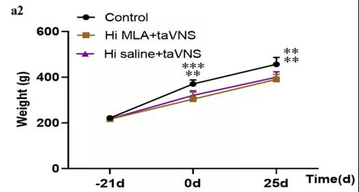 大鼠在神经领域的应用