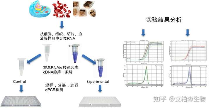lncRNA的检测