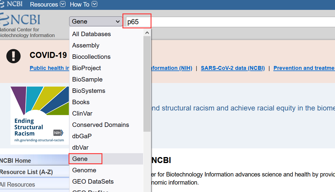 原核细胞标签蛋白纯化