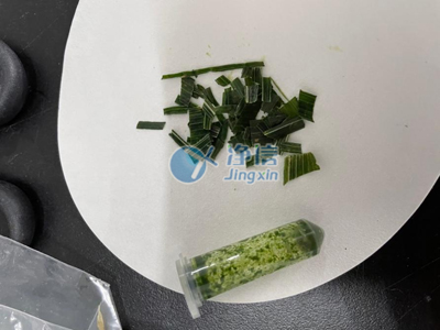 全自动组织研磨机|研磨小麦麦苗