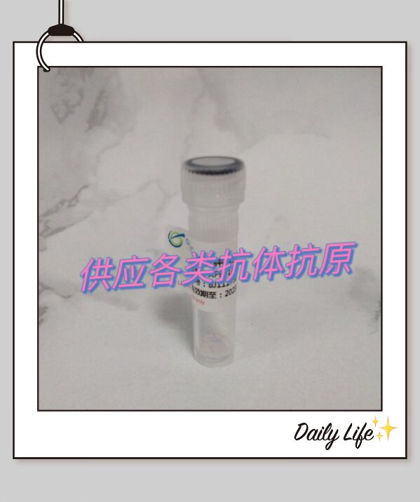 重组转化生长因子 rh TGF β1的用途 