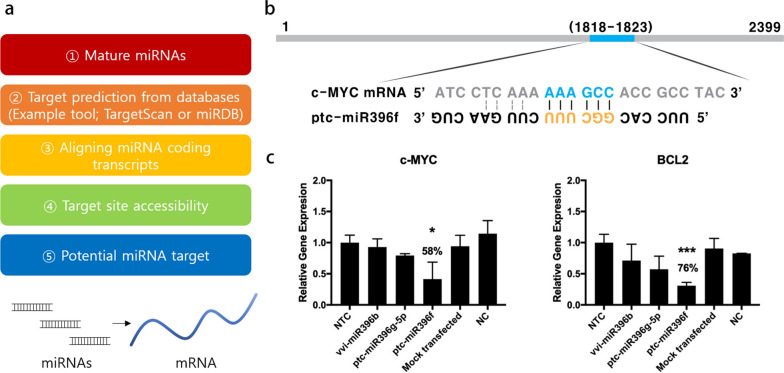 植物外泌体提取鉴定