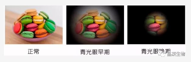 1698646965242105.png 新闻图片3