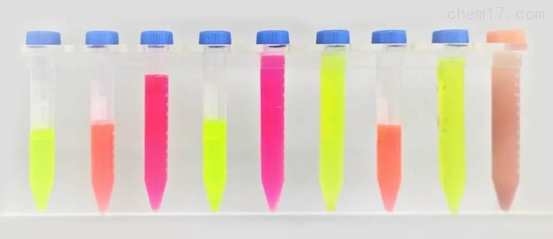 浅谈荧光蛋白，助您从容应对蛋白实验